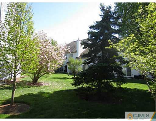 375 Draco Road Piscataway, NJ 08854 - Photo 25 of 25 a yard with lots of green space