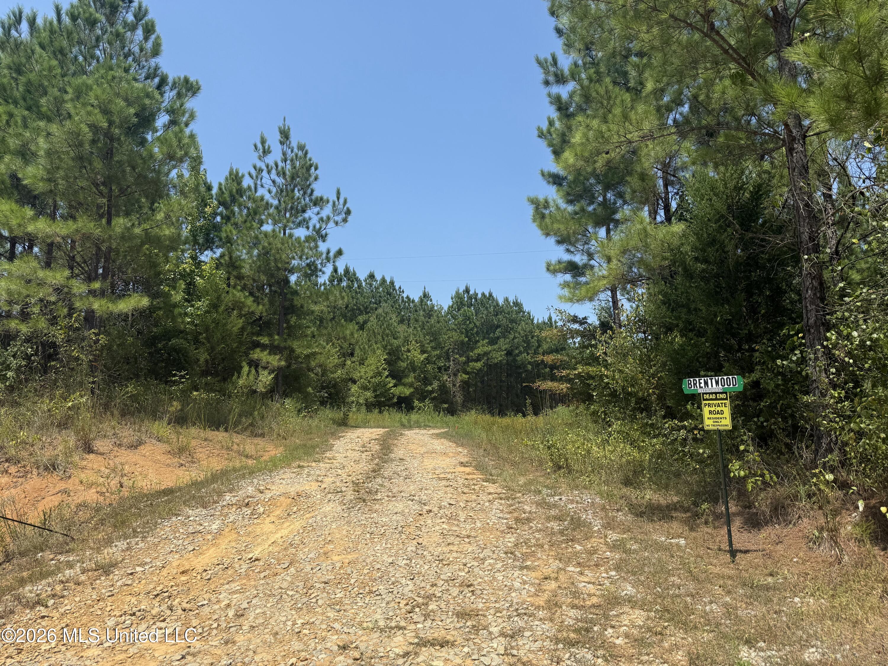 2127 County Road McCool, MS 39108 - Photo 8 of 10 D8596337-E5C9-4927-93B4-B3FAB5DDE9DA