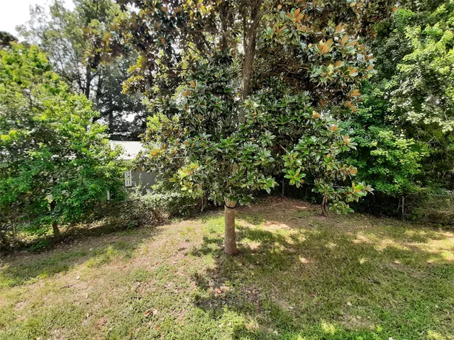 a view of yard with green space