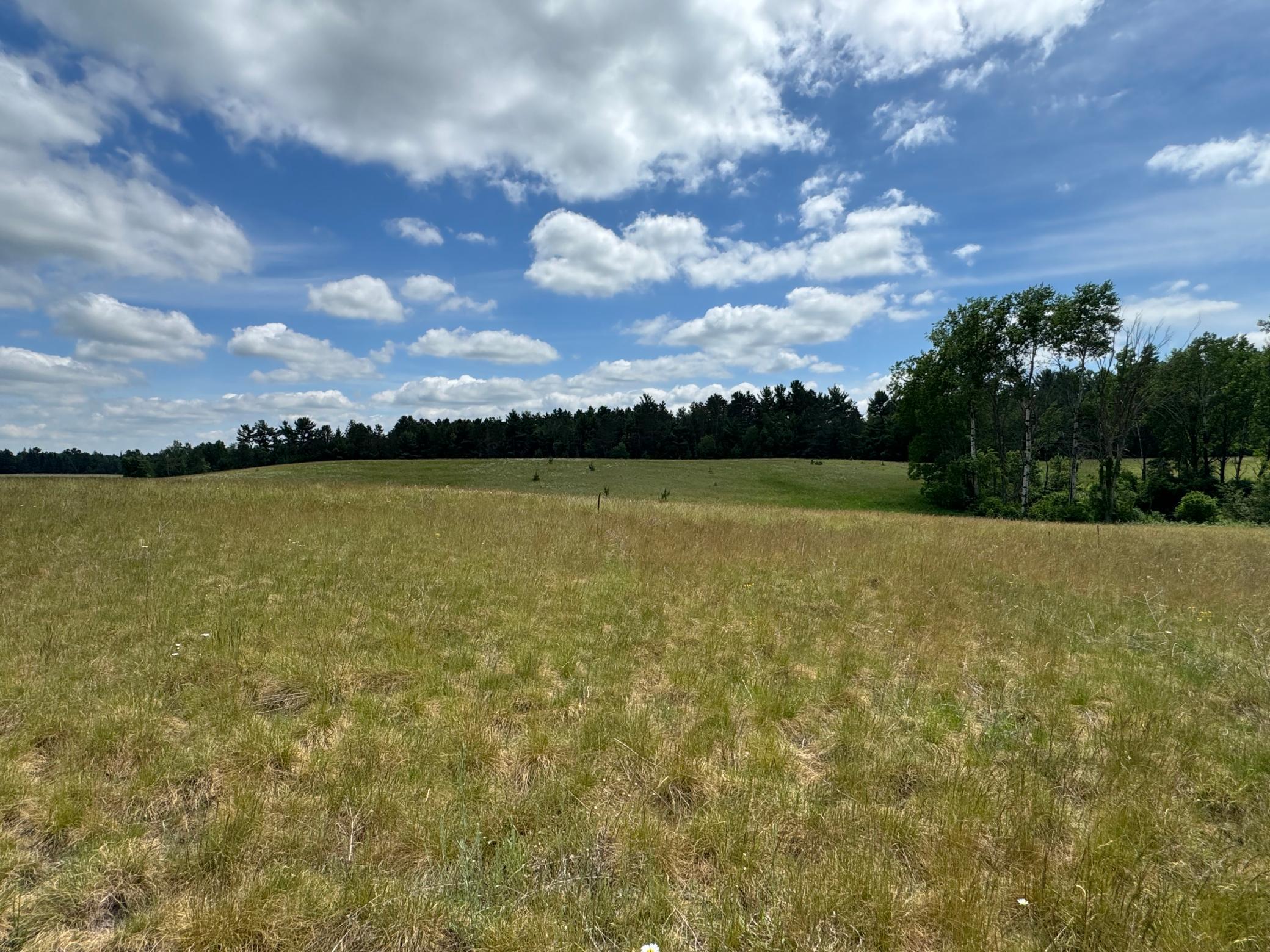6398 Fred Tripp Road Springbrook, WI 54875 - Photo 30 of 30