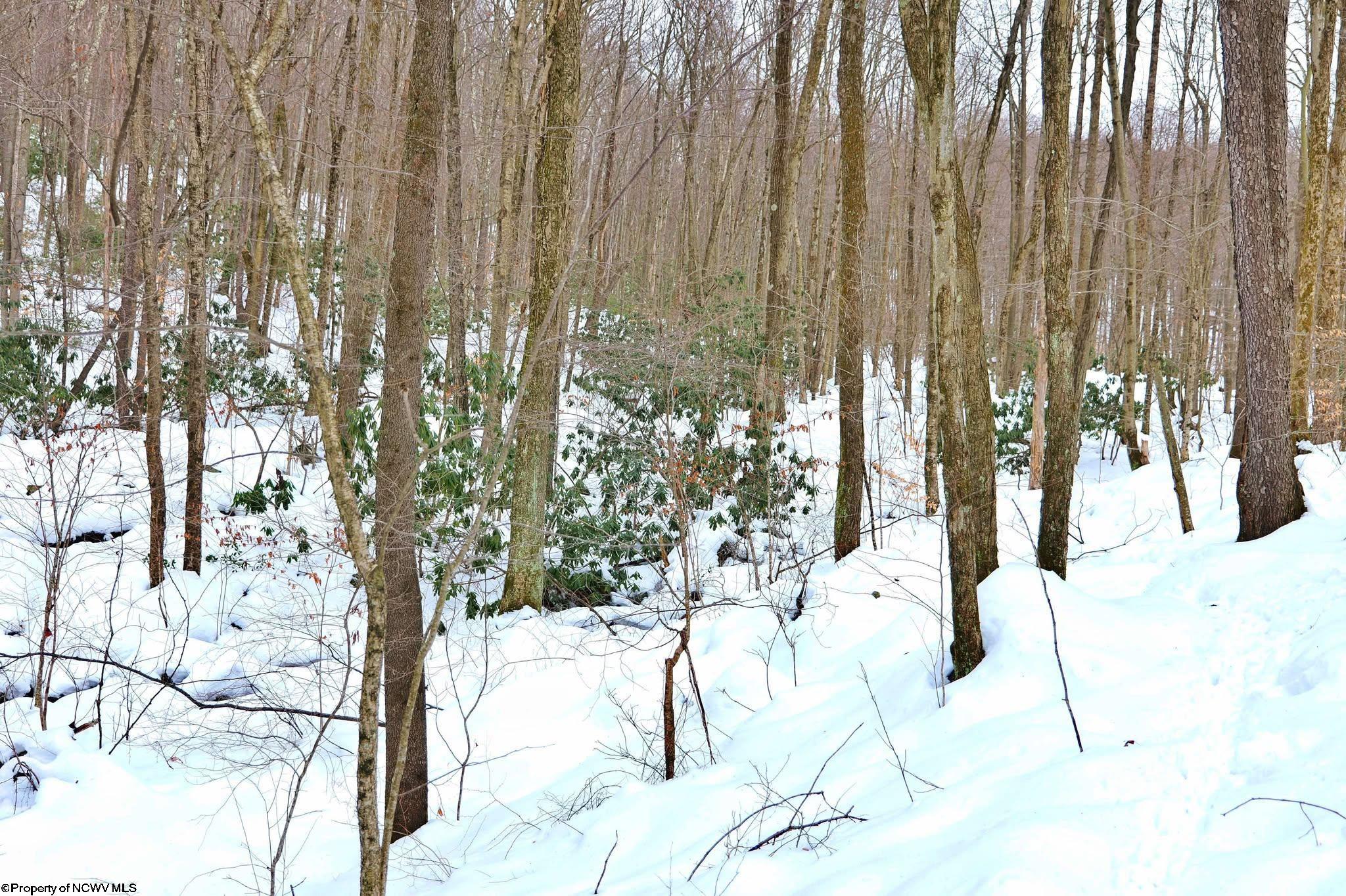 Tbd Frog Hollow Road Tunnelton, WV 26444 - Photo 4 of 22 Gallery Image 4