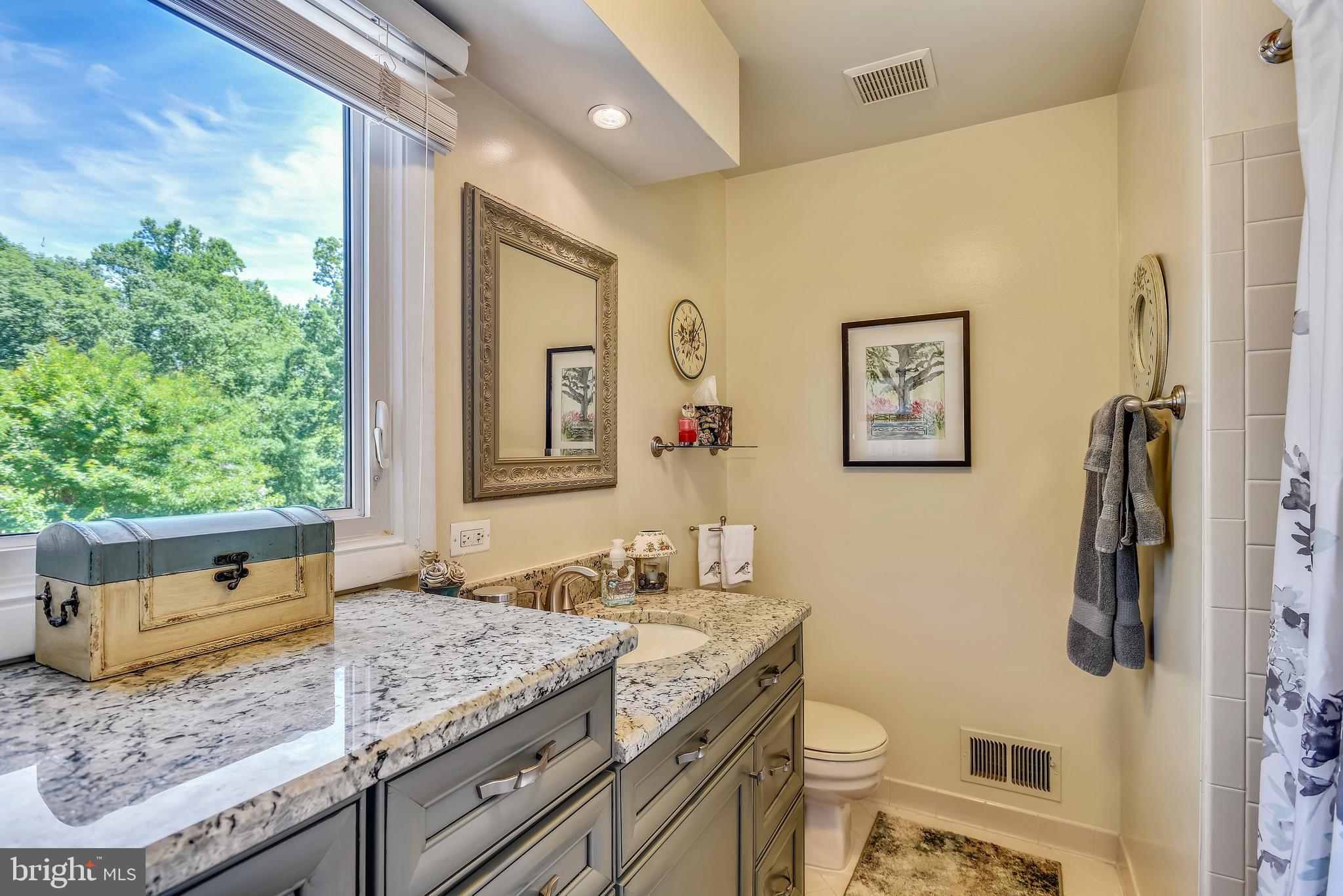 11627 Chapel Cross Way Reston, VA 20194 - Photo 21 of 63 Beautifully Updated Full Bath in En-Suite Bedroom