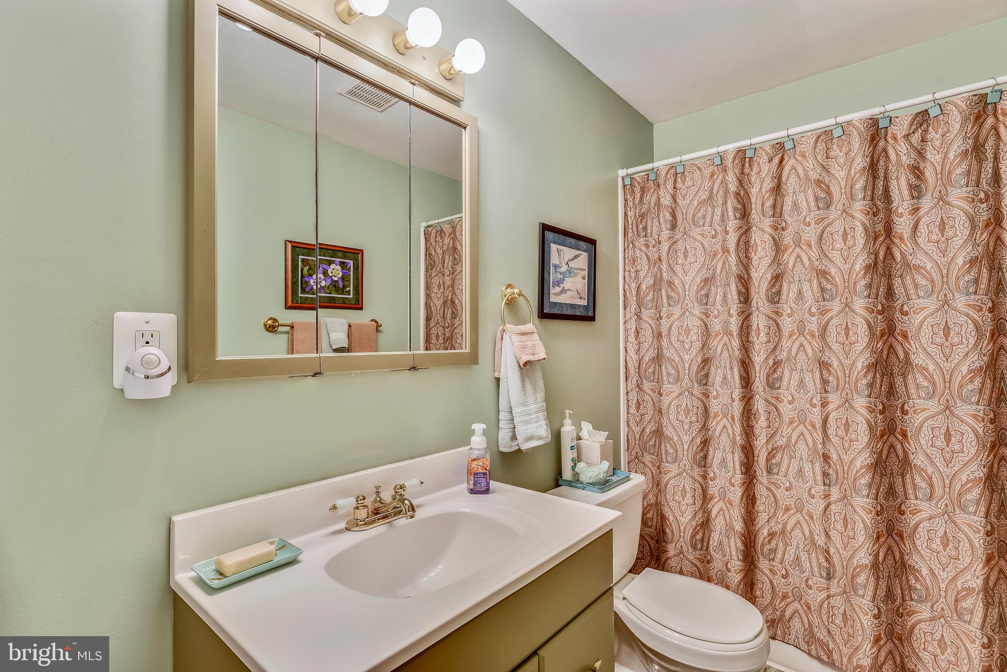 11627 Chapel Cross Way Reston, VA 20194 - Photo 37 of 63 Lower Level Full Bath