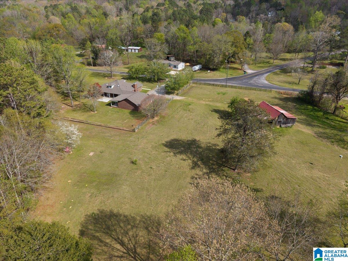 19865 Remlap Drive Remlap, AL 35133 - Photo 49 of 54