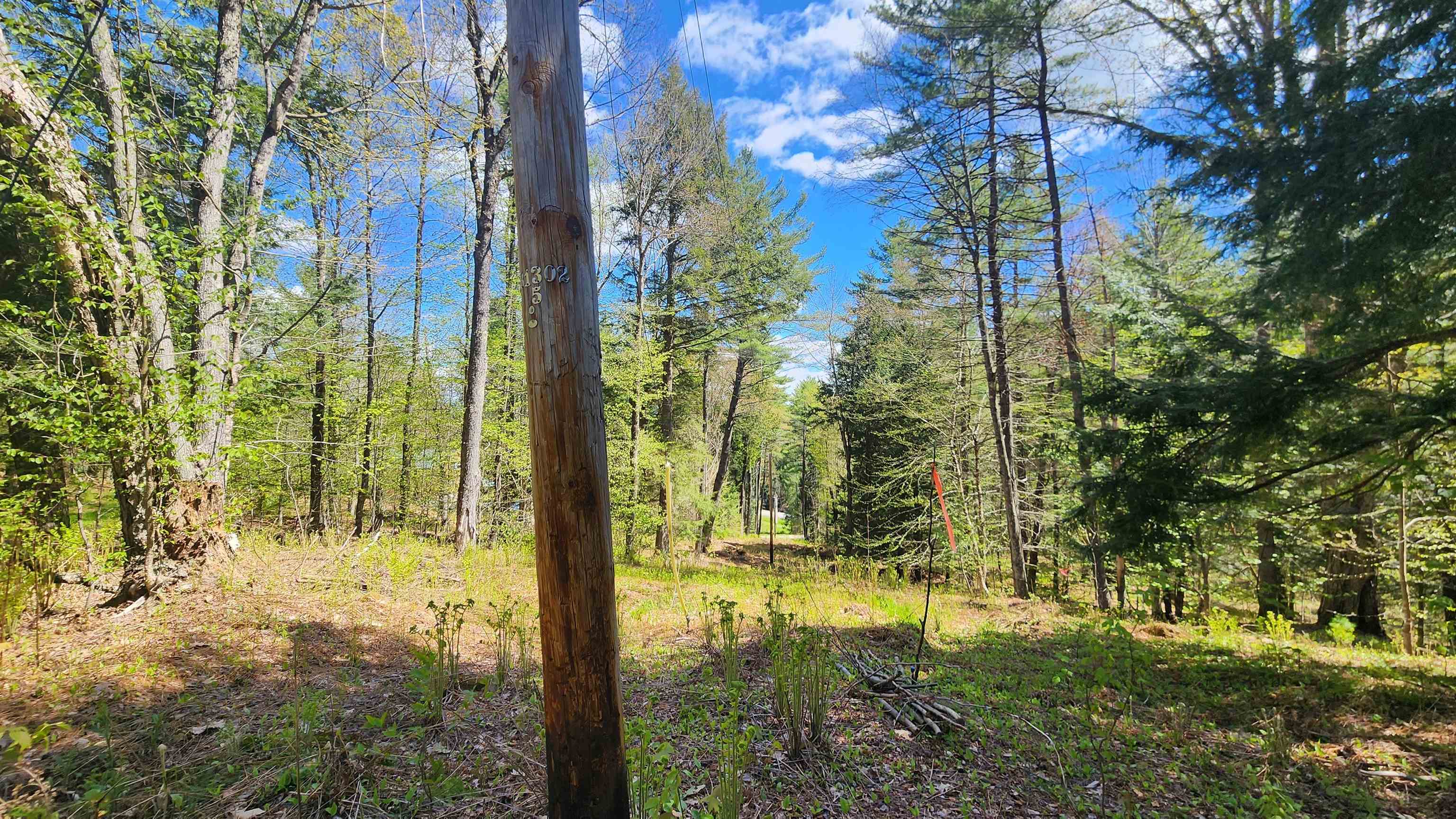 0 Linden Way Chester, VT 05143 - Photo 7 of 22