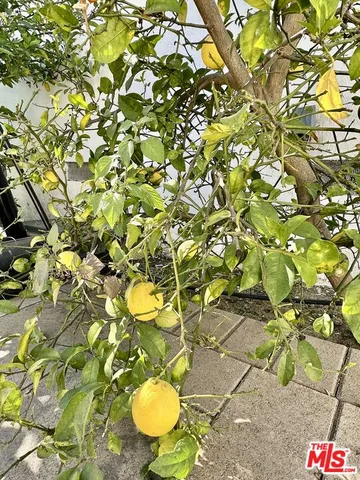 $9,990 | 128 South Swall Drive, Beverly Hills, CA 90211