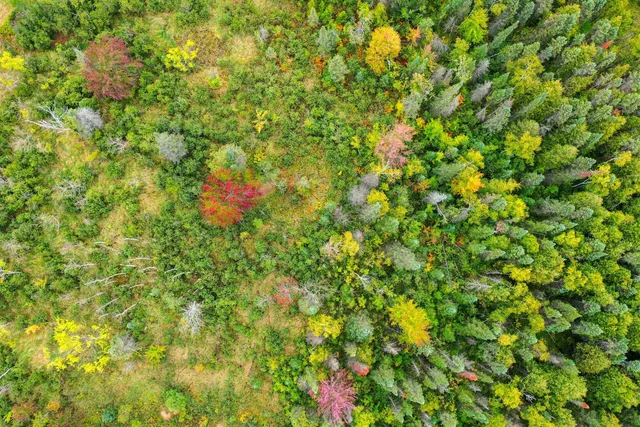 $399,000 | 141 Us Highway, Wausaukee, WI 54177