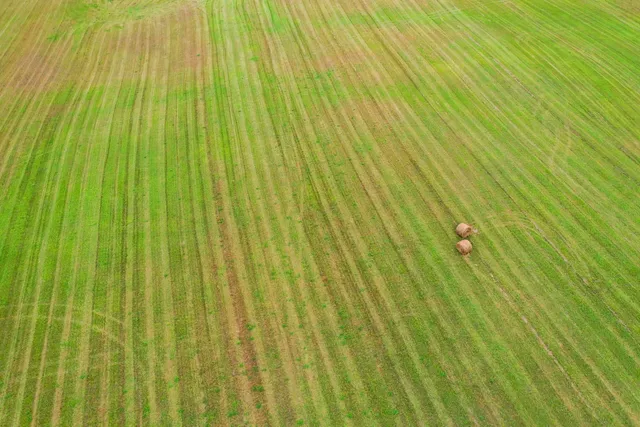 $399,000 | 141 Us Highway, Wausaukee, WI 54177