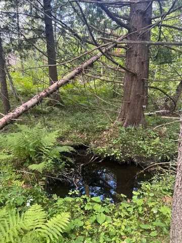 $399,000 | 141 Us Highway, Wausaukee, WI 54177