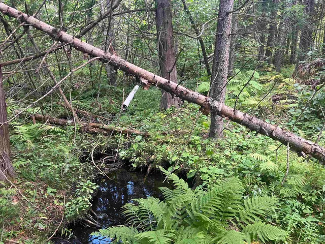 $399,000 | 141 Us Highway, Wausaukee, WI 54177