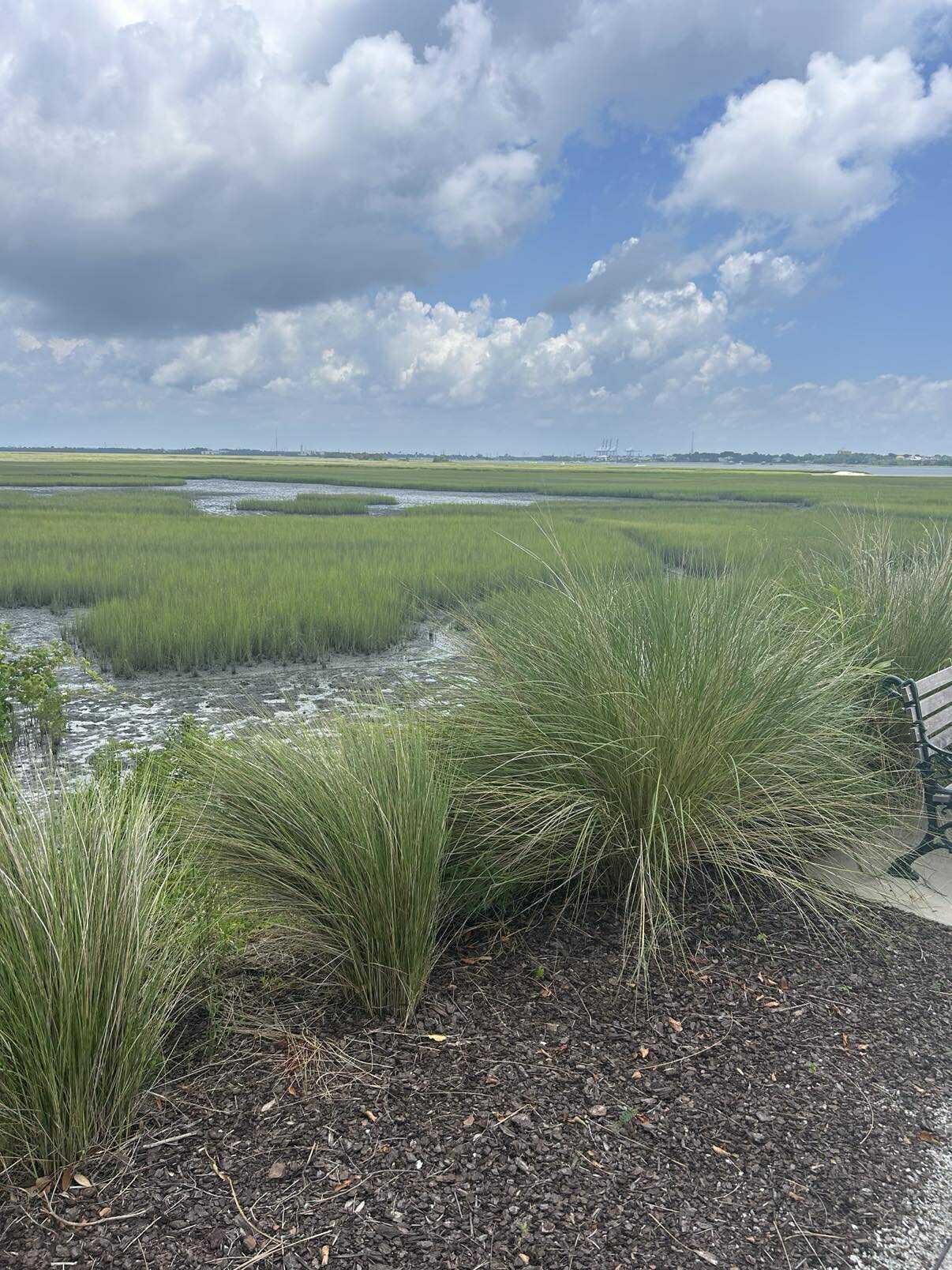1048 Main Street Charleston, SC 29407 - Photo 10 of 14 Marsh Views