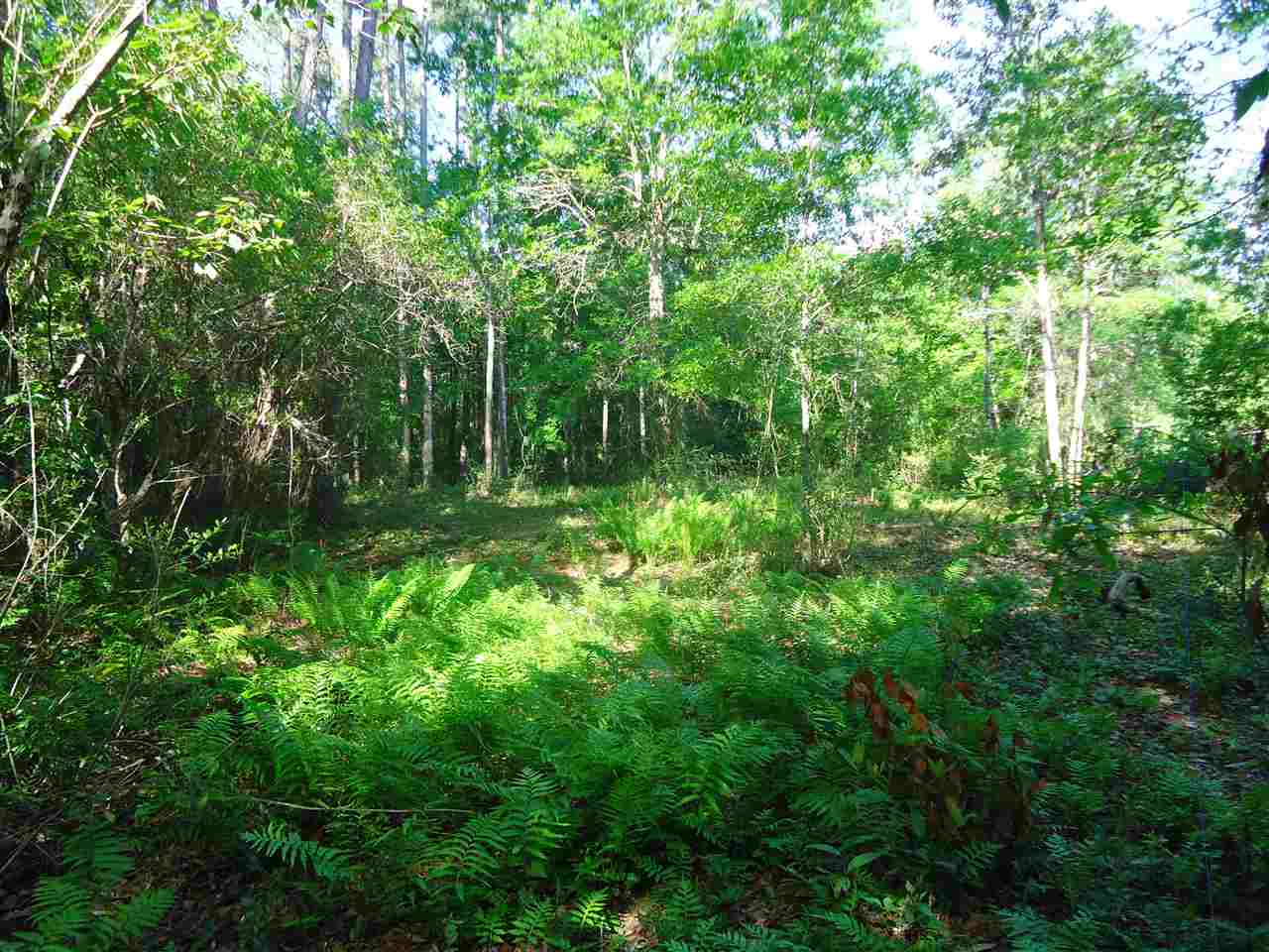 0 Hammock Road Elberta, AL 36530 - Photo 8 of 15