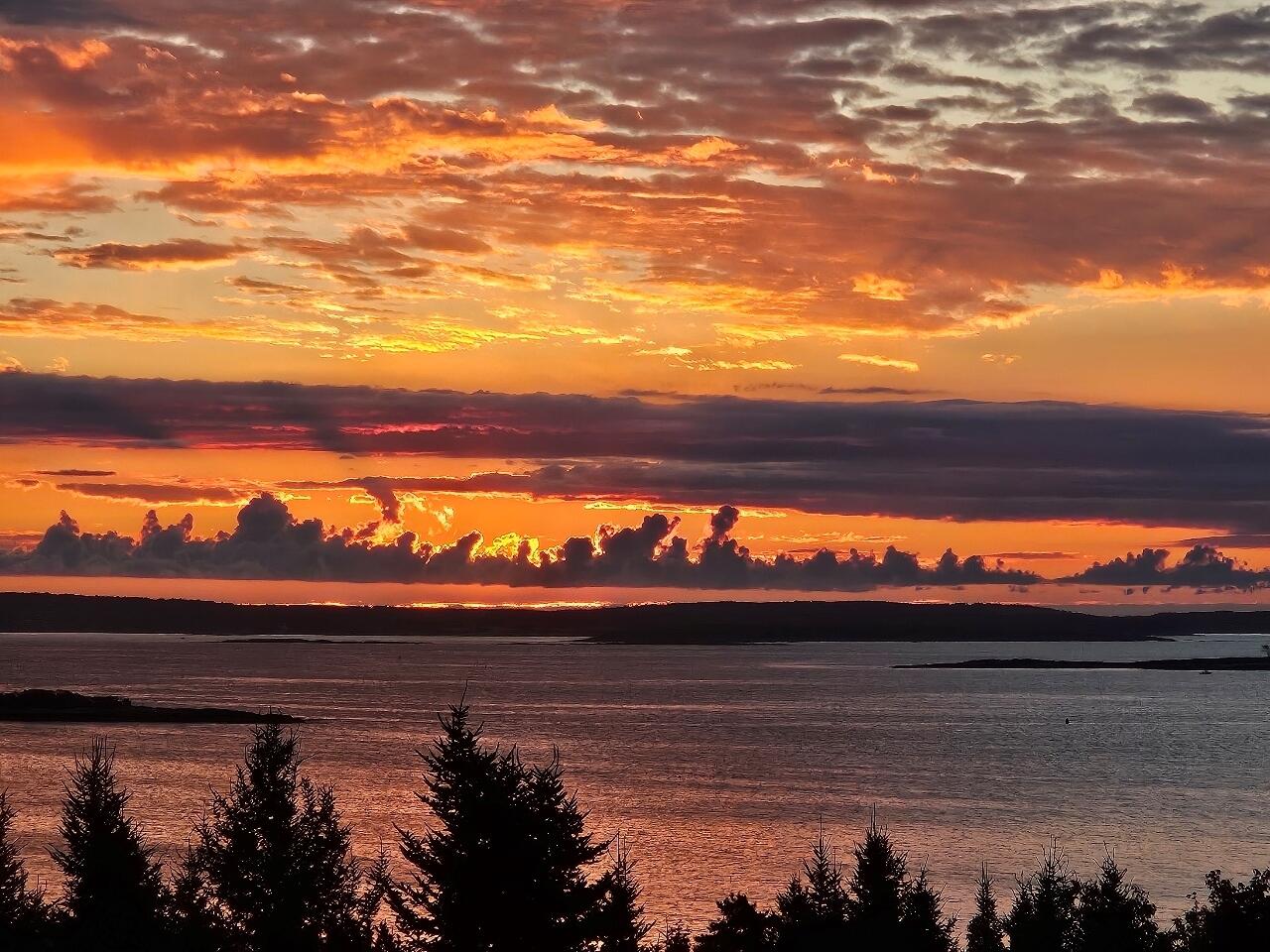 11 Blueberry Ridge Orrs Island, ME 04066 - Photo 2 of 60 Sunrise!