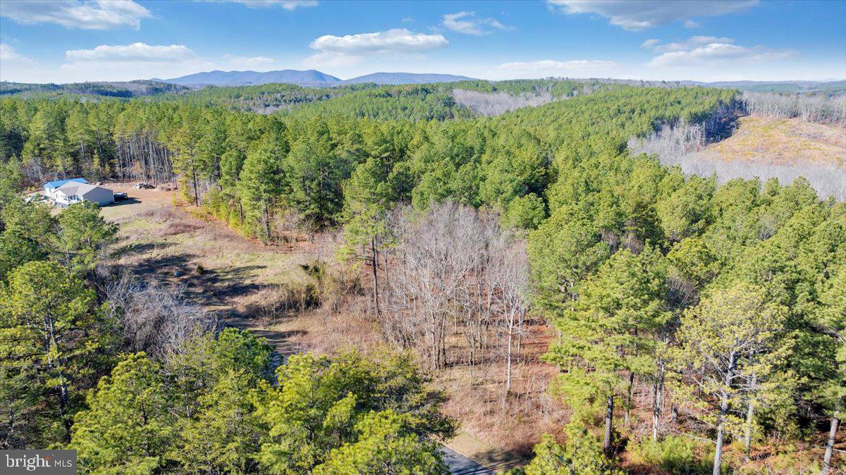 0 Flat Top Cove Road Gretna, VA 24557 - Photo 3 of 7