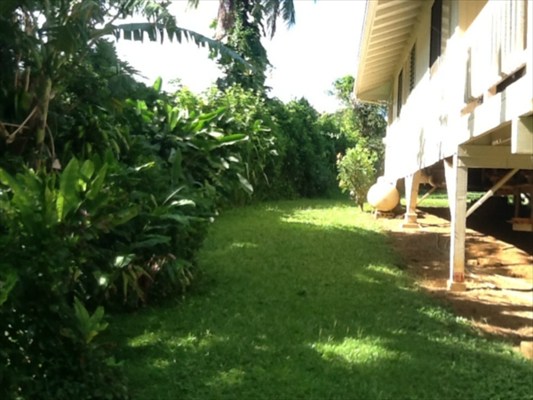 4085 Noho Road Koloa, HI 96756 - Photo 3 of 4 a view of yard