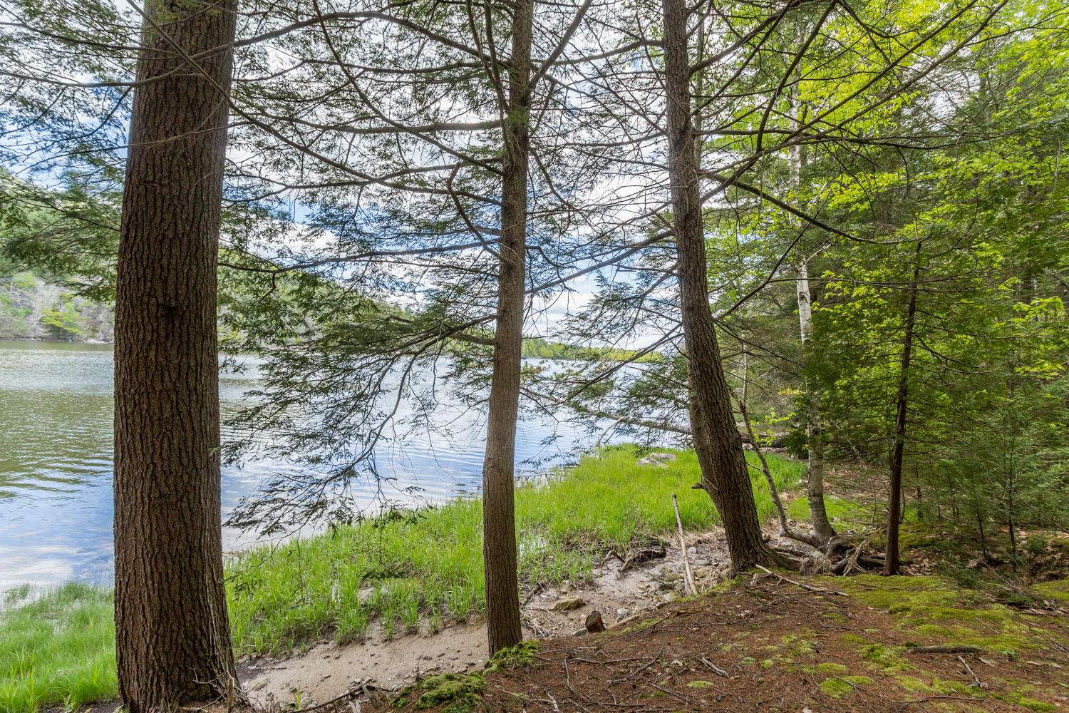 66 Cushman Point Road Wiscasset, ME 04578 - Photo 31 of 35 20190604PC-51081