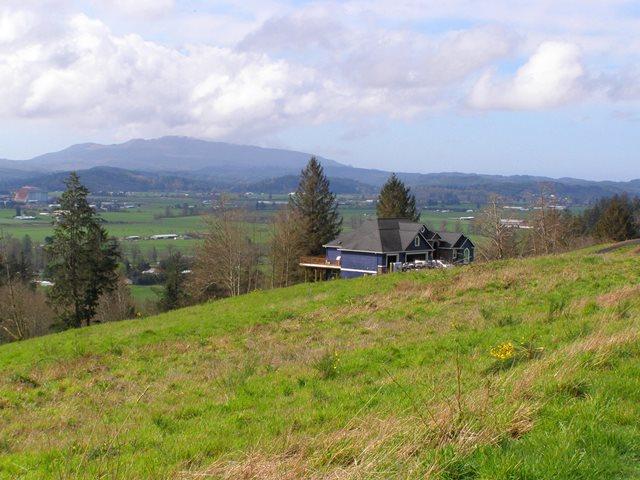 Lot 25 Skyview Road Tillamook, OR 97141 - Photo 9 of 21 P3180333.JPG