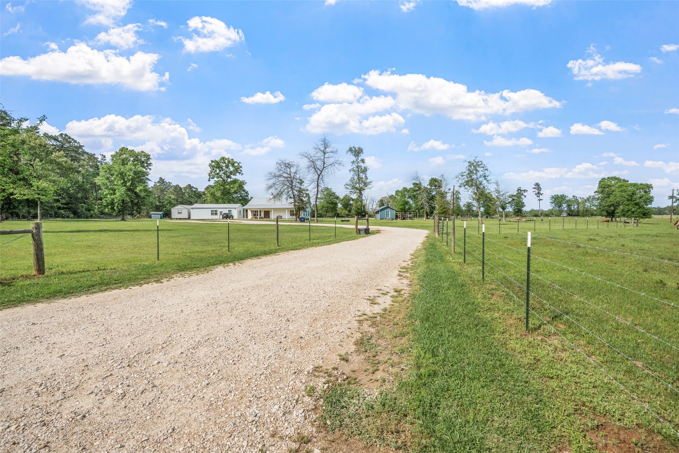 Private country setting with a long gravel drive leading to a charming home, surrounded by fenced pastures, mature trees, and wide-open green space—perfect for peaceful living with room to roam.