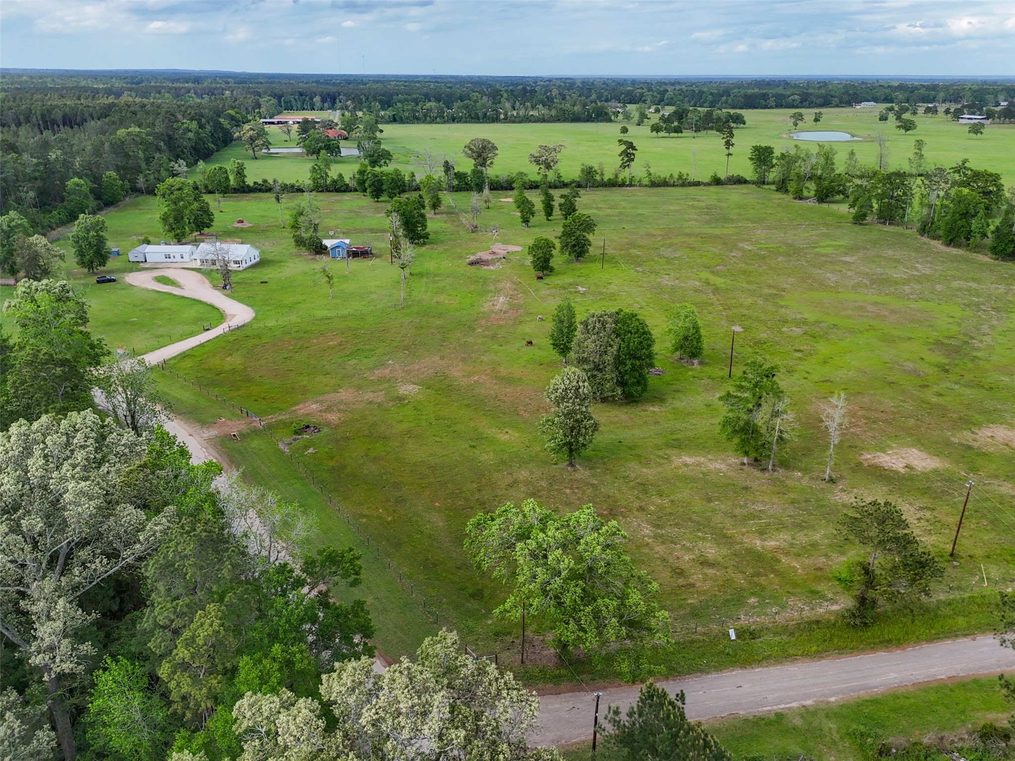 1121 Pelican Road Shepherd, TX 77371 - Photo 2 of 34 25 Acres Fenced & Crossed Fenced