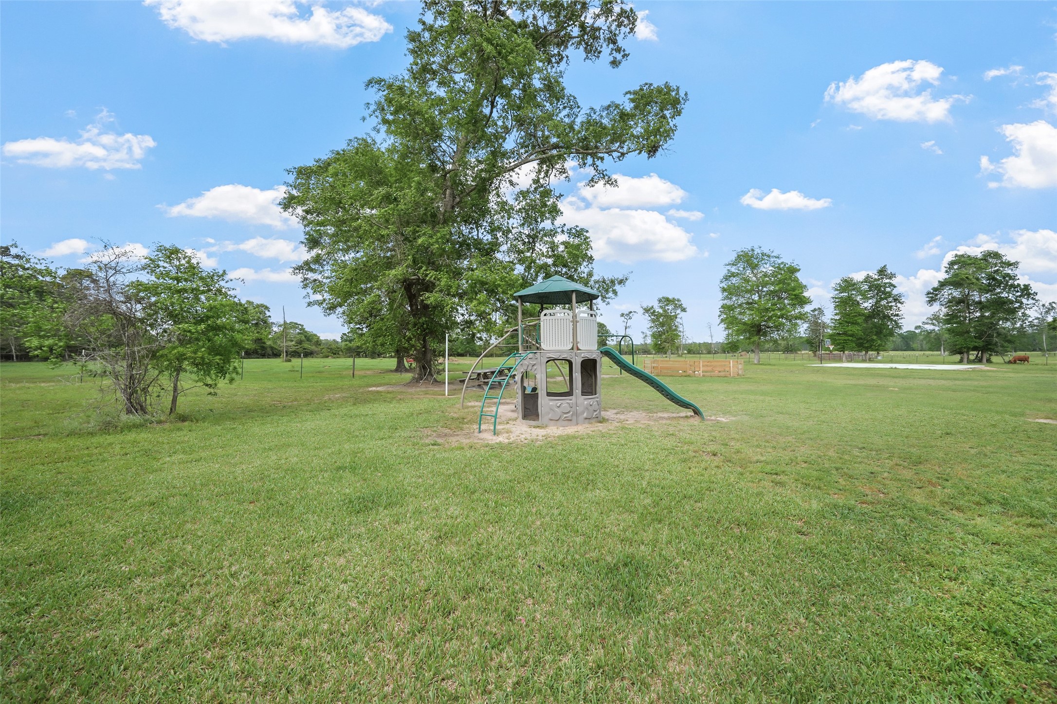1121 Pelican Road Shepherd, TX 77371 - Photo 29 of 34