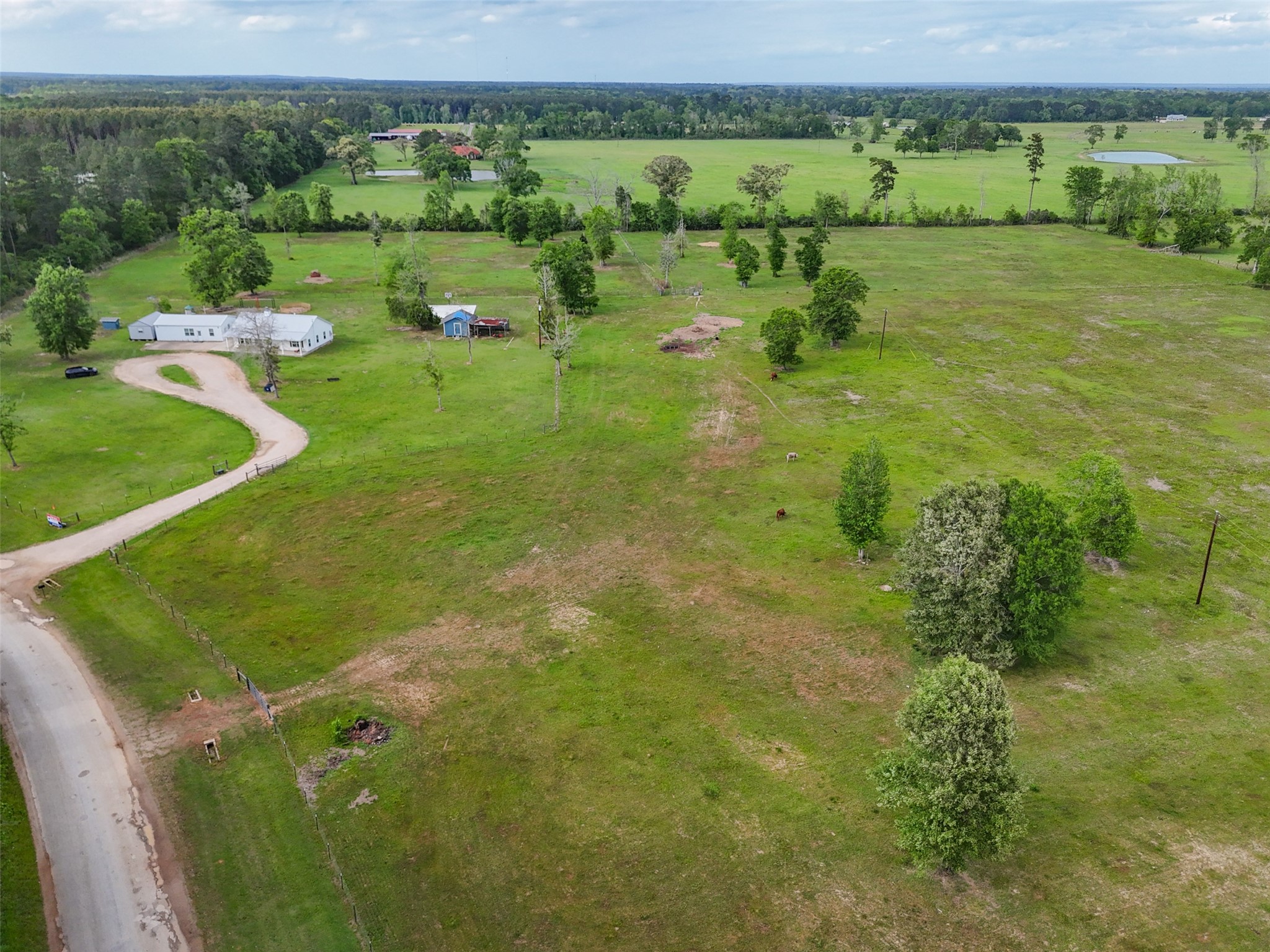 1121 Pelican Road Shepherd, TX 77371 - Photo 31 of 34 Expansive acreage with open pastures, scattered mature trees, and a private homesite—ideal for livestock, recreation, or building your dream country retreat.