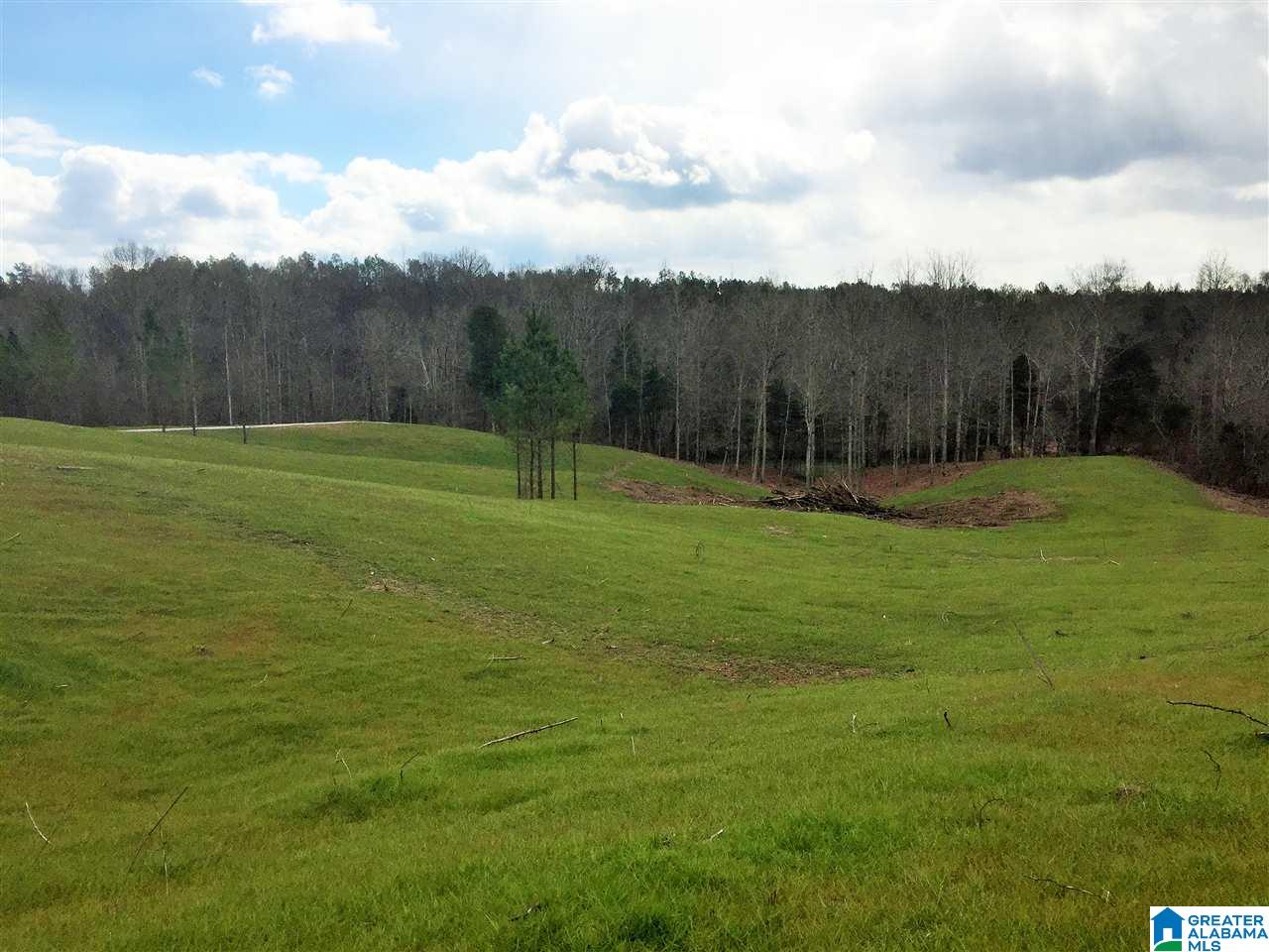 2111 Red Oak Road Helena, AL 35080 - Photo 15 of 34