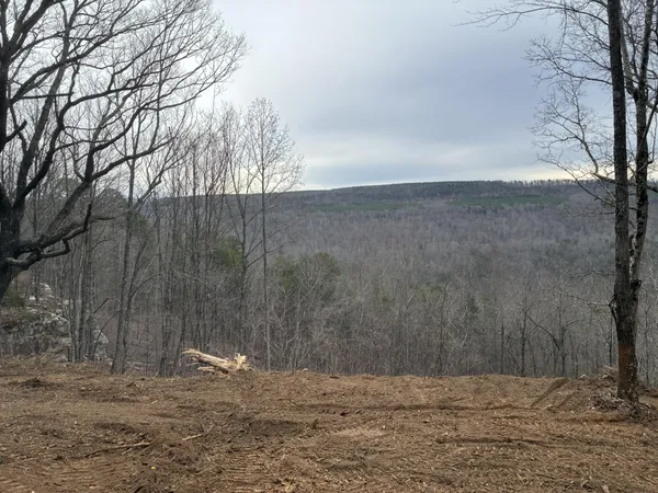 a view of a backyard of the house