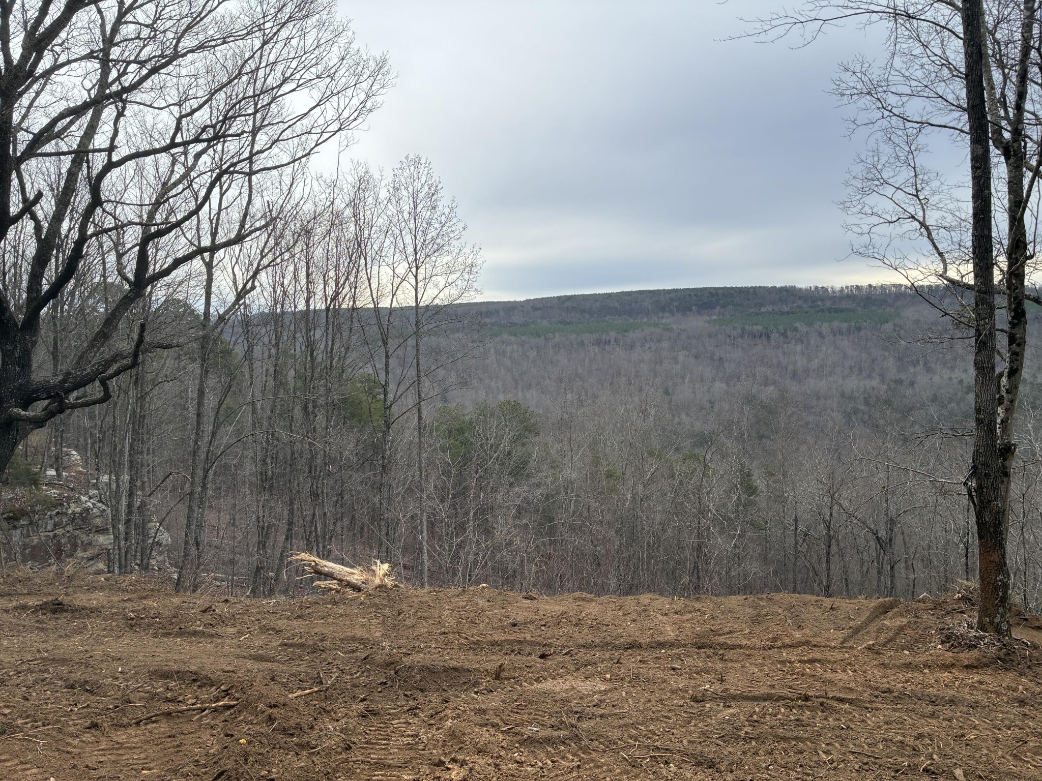 a view of a backyard of the house
