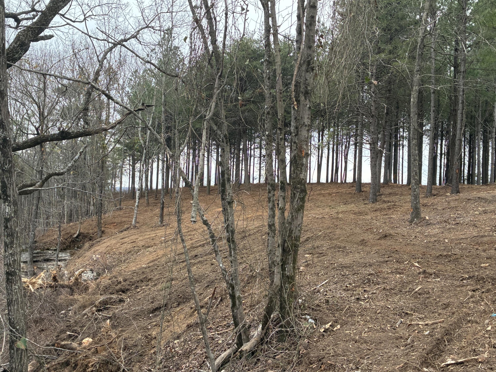 4690 Split Rail Way Whiteside, TN 37396 - Photo 11 of 43 a view of backyard with green space