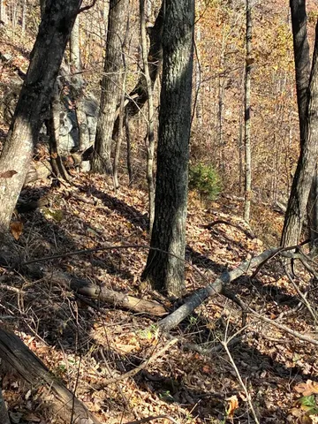 a view of backyard of a house