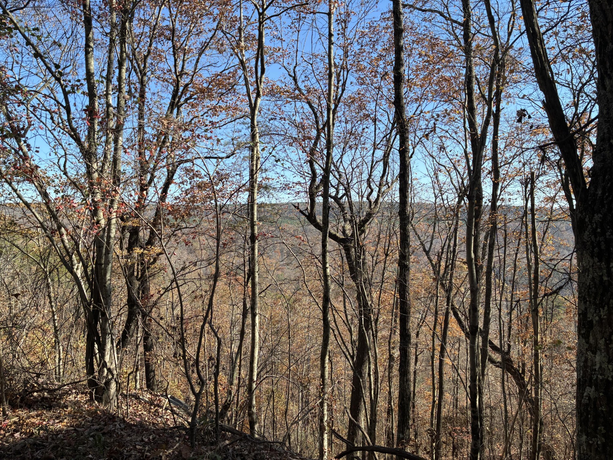 4690 Split Rail Way Whiteside, TN 37396 - Photo 19 of 47