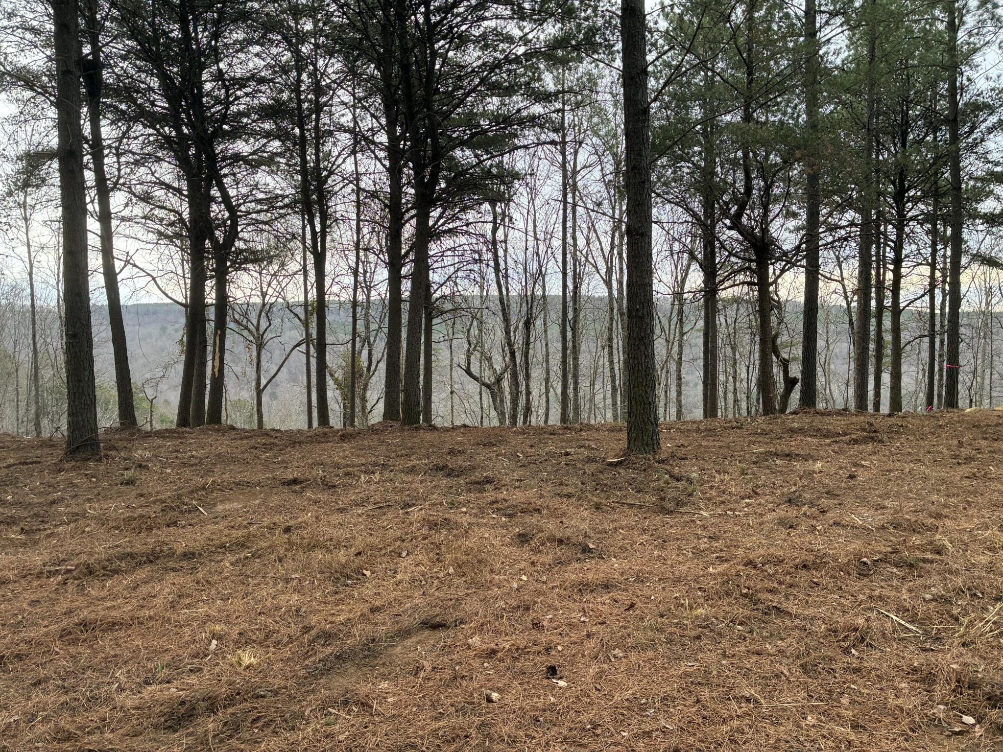 4690 Split Rail Way Whiteside, TN 37396 - Photo 2 of 43