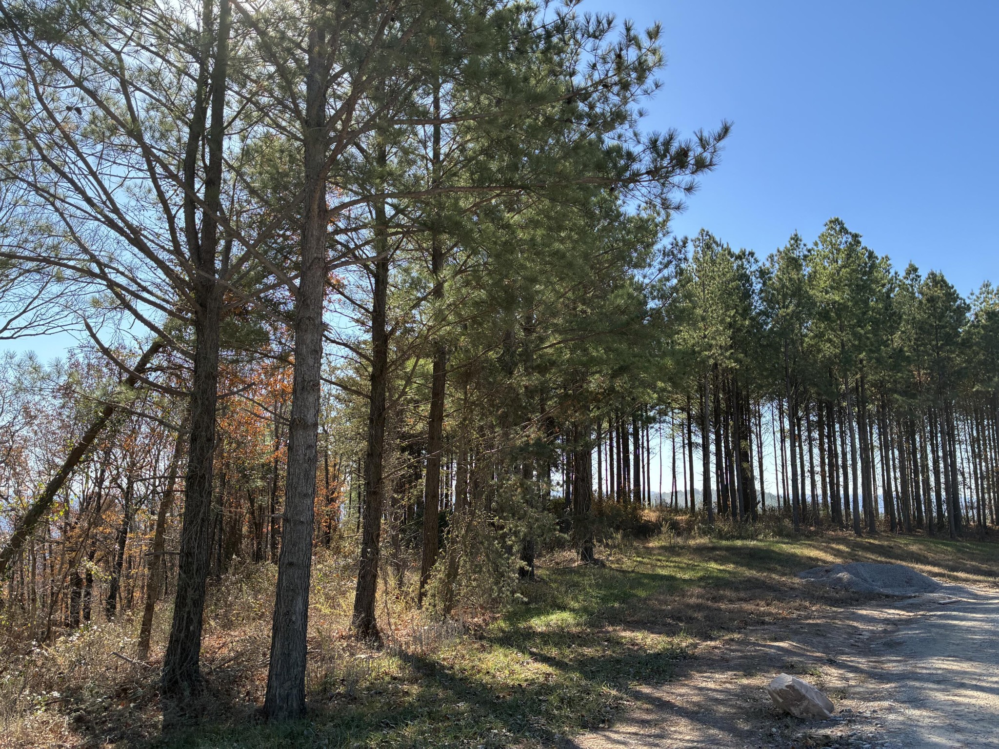 4690 Split Rail Way Whiteside, TN 37396 - Photo 25 of 43 a view of outdoor space with garden