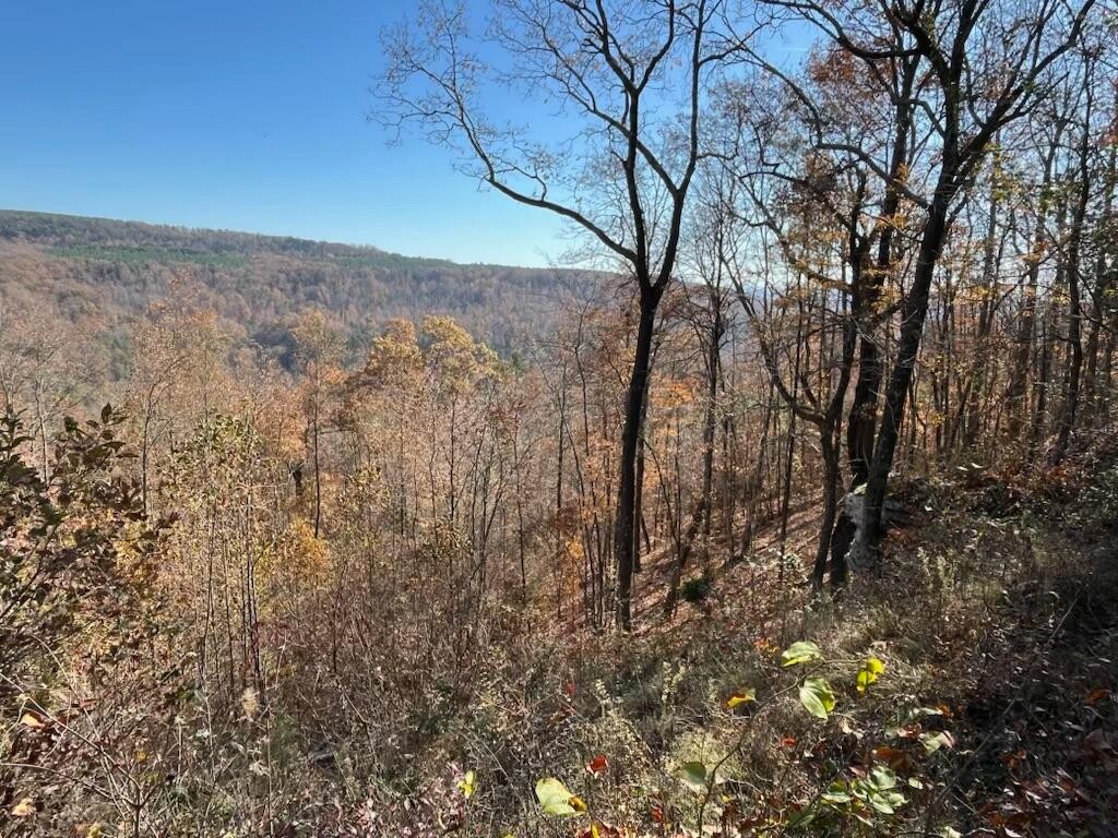 4690 Split Rail Way Whiteside, TN 37396 - Photo 28 of 47