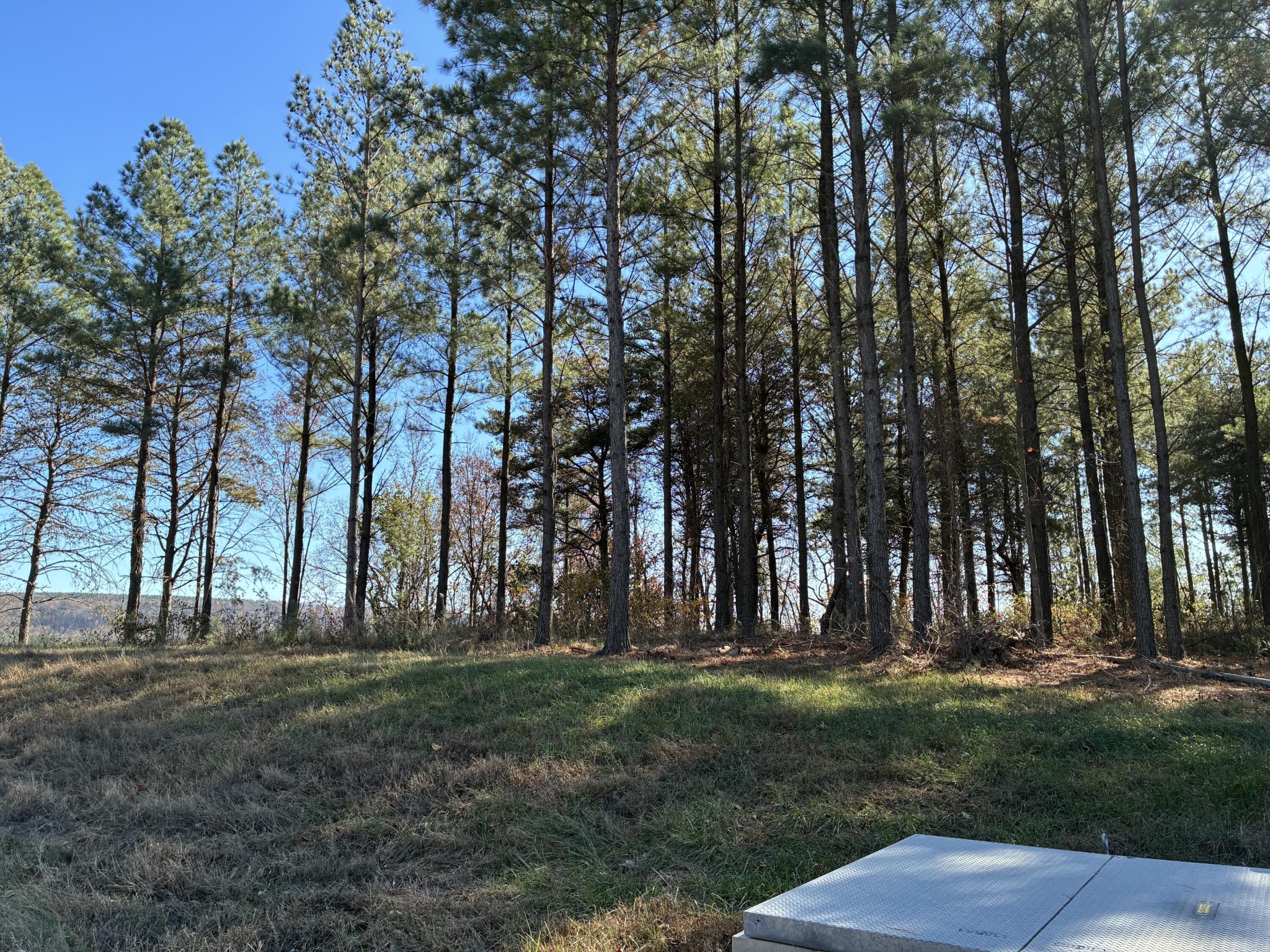 4690 Split Rail Way Whiteside, TN 37396 - Photo 28 of 43 a view of outdoor space with trees