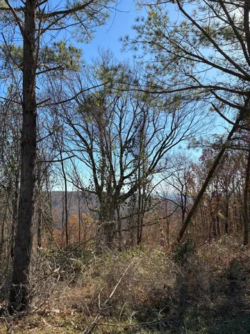 $499,000 | 4690 Split Rail Way, Whiteside, TN 37396