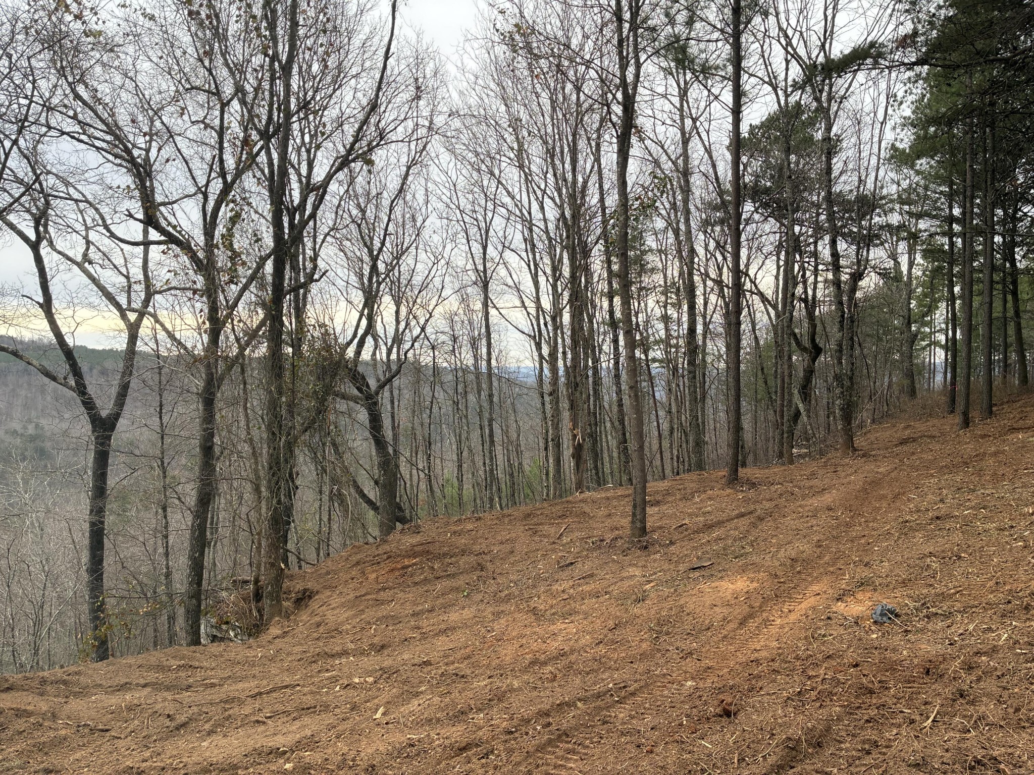 4690 Split Rail Way Whiteside, TN 37396 - Photo 38 of 47 a backyard of a house with lots of trees
