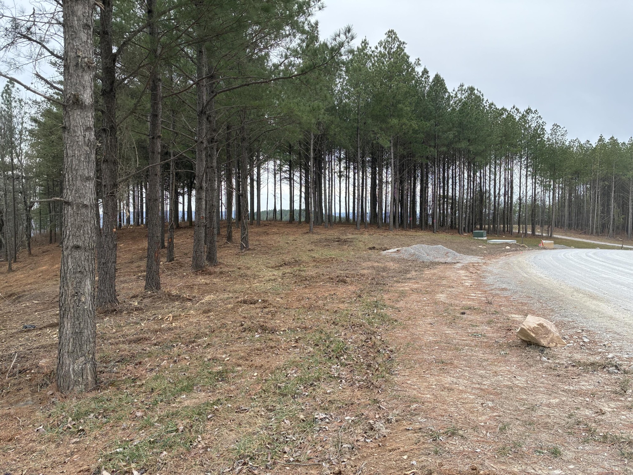 4690 Split Rail Way Whiteside, TN 37396 - Photo 39 of 47 a backyard of a house with trees