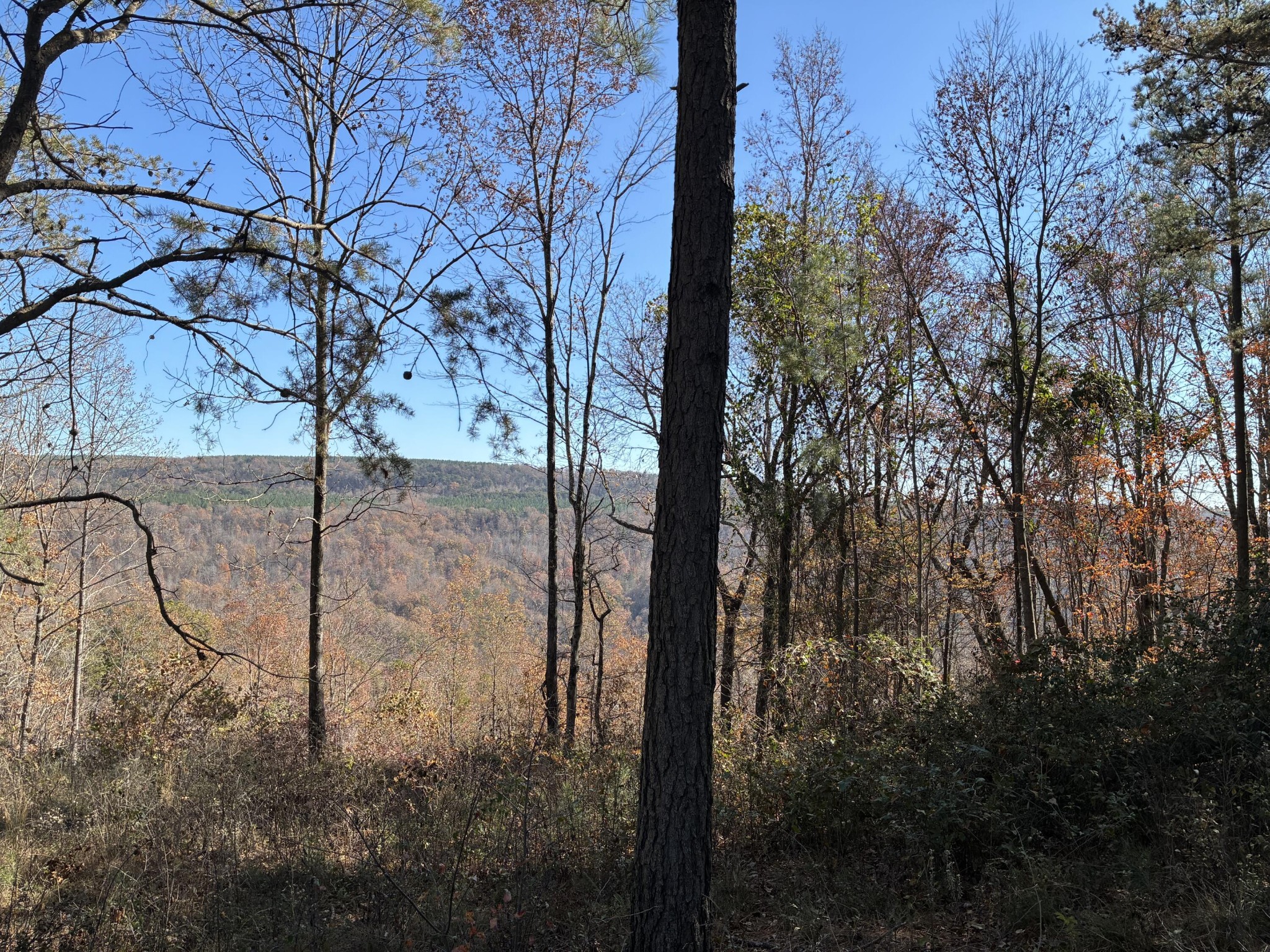 4690 Split Rail Way Whiteside, TN 37396 - Photo 39 of 43