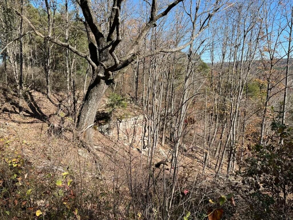 4690 Split Rail Way Whiteside, TN 37396 - Photo 40 of 43