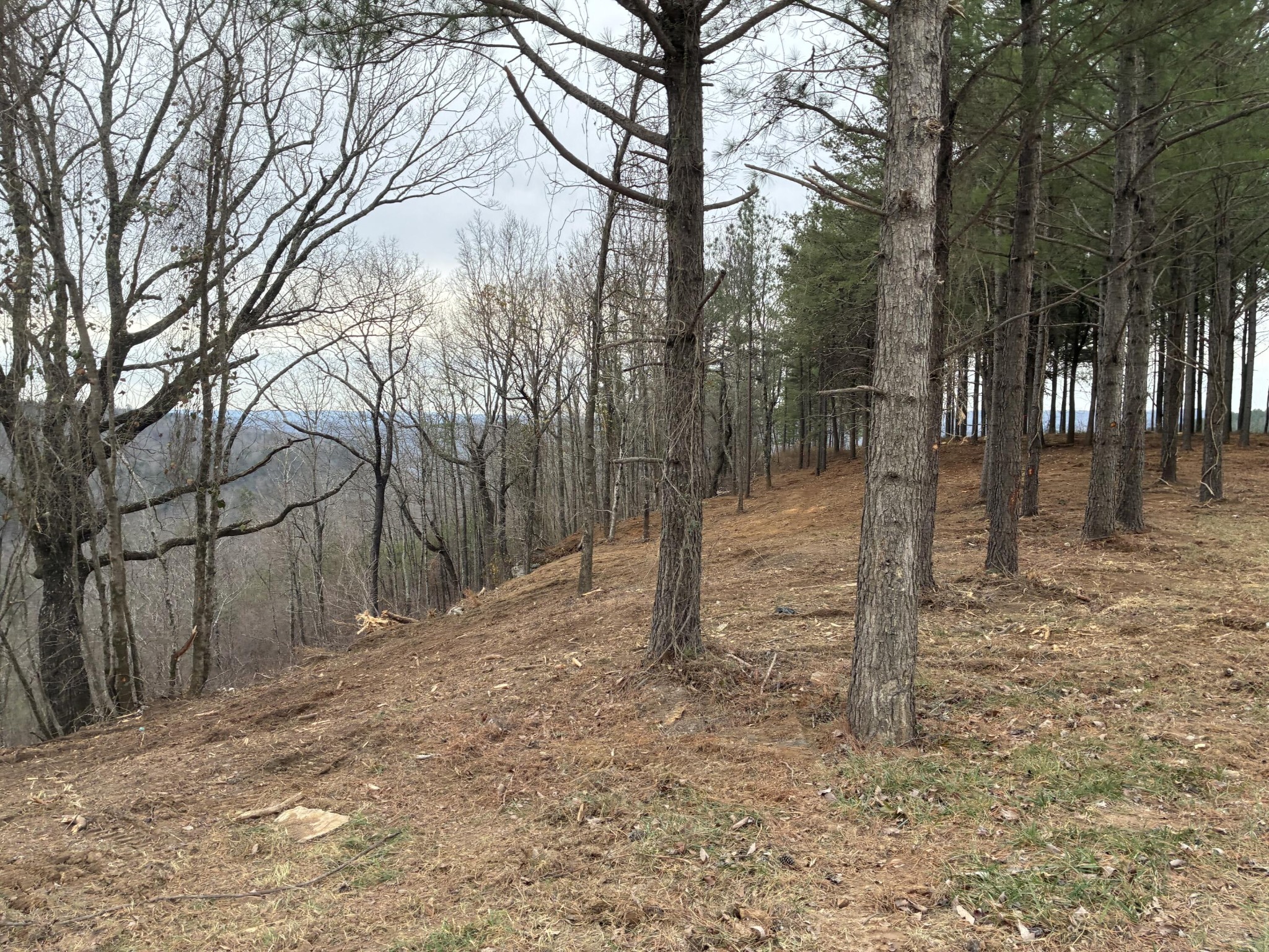 4690 Split Rail Way Whiteside, TN 37396 - Photo 7 of 43 a backyard of a house with lots of green space