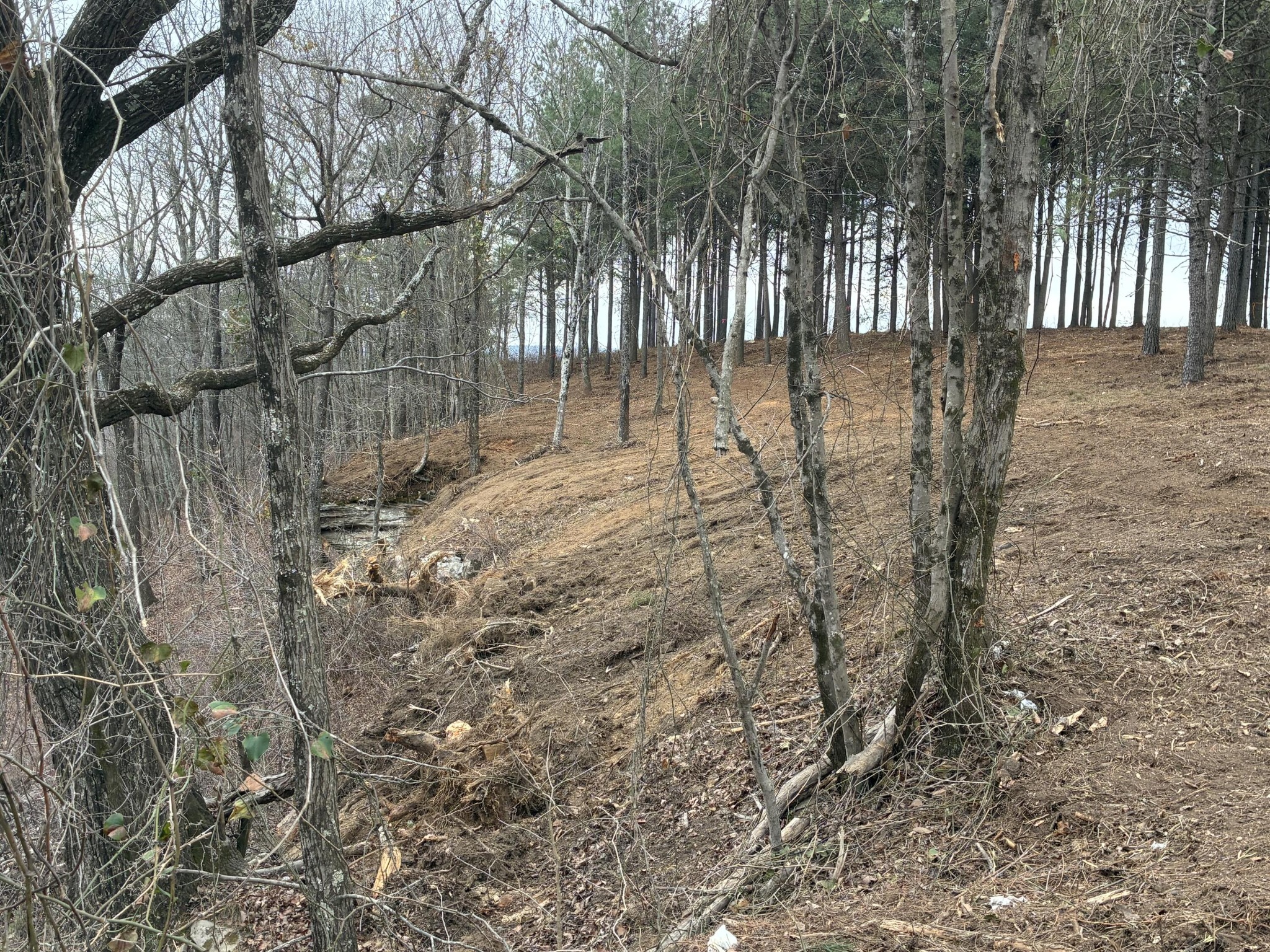4690 Split Rail Way Whiteside, TN 37396 - Photo 8 of 43 a backyard of a house with lots of green space