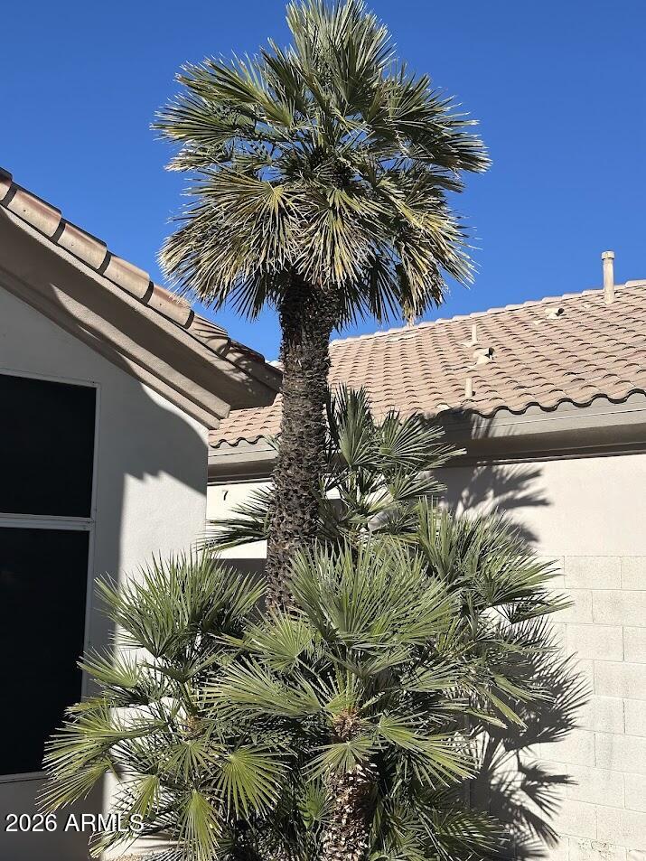 10167 East Conieson Road Scottsdale, AZ 85260 - Photo 50 of 50 IMG_6739