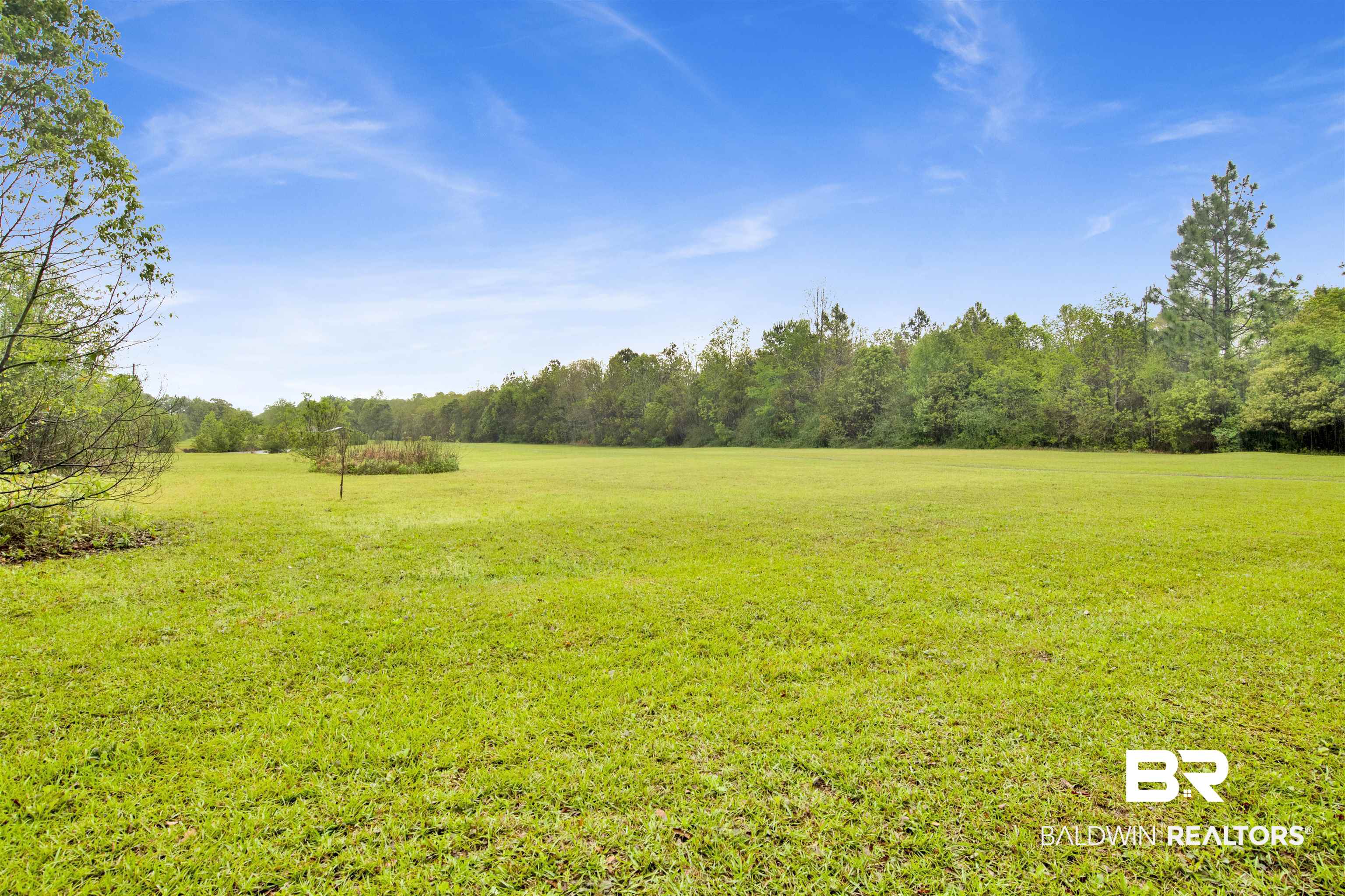10244 Magnolia Road Irvington, AL 36544 - Photo 33 of 37 View of yard with a forest view