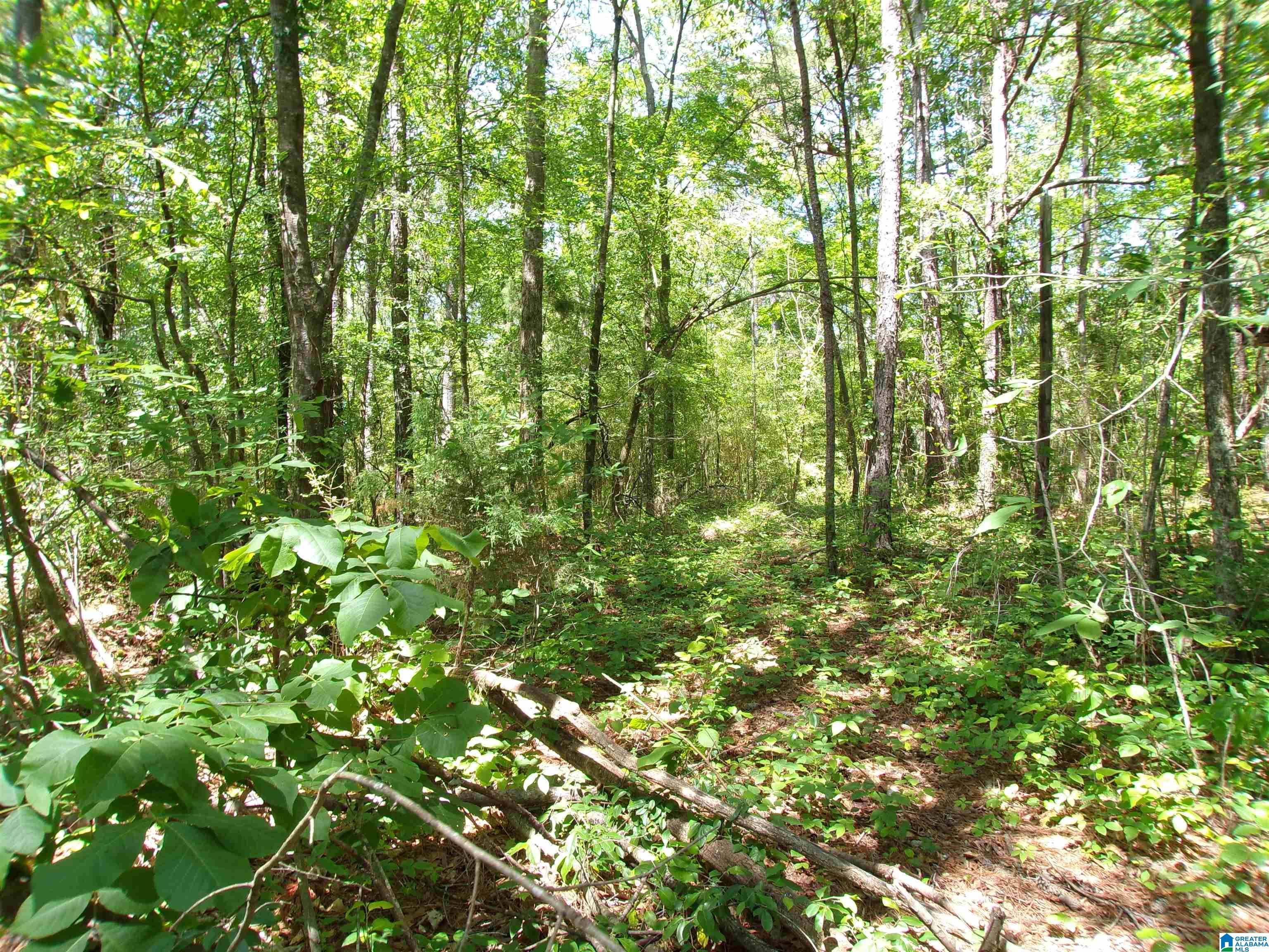1 St Mary Road South, Unit 1 Lincoln, AL 35096 - Photo 8 of 23