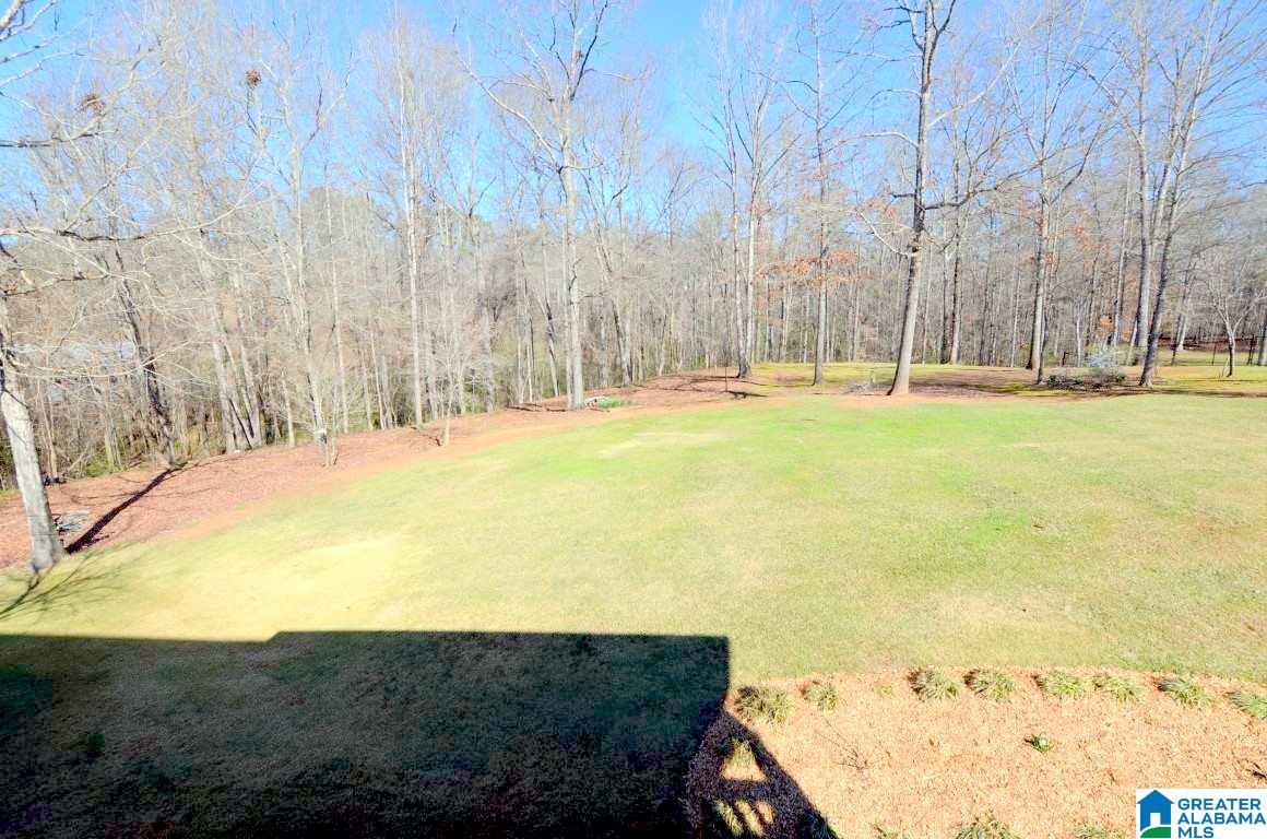 219 Quail Ridge Road Helena, AL 35080 - Photo 42 of 46
