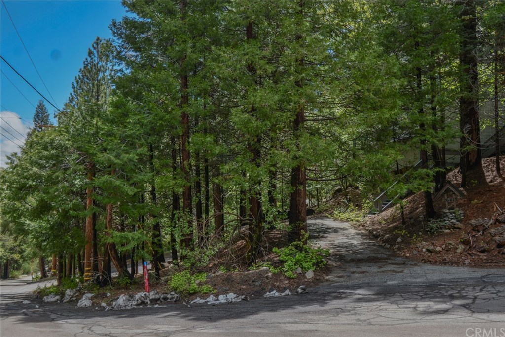 26415 Fernrock Road Twin Peaks, CA 92391 - Photo 21 of 23 a view of a forest with trees