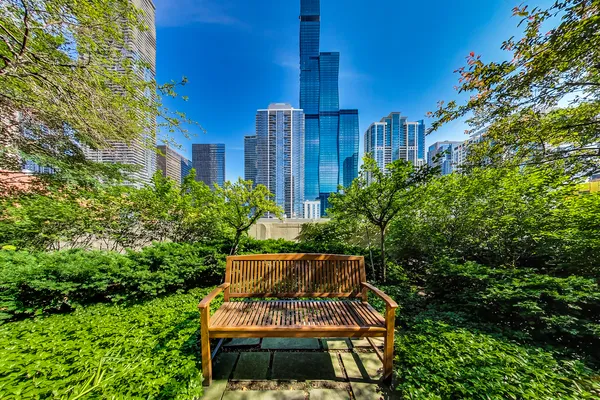a view of a yard with plants