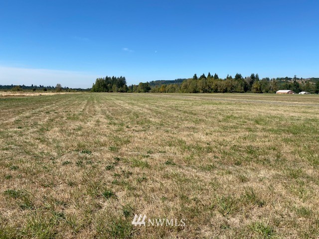 0 Tauscher Road Chehalis, WA 98532 - Photo 1 of 12