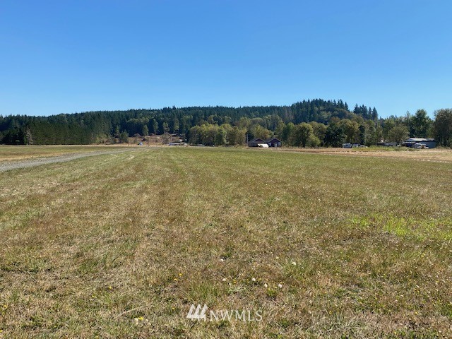 0 Tauscher Road Chehalis, WA 98532 - Photo 11 of 12